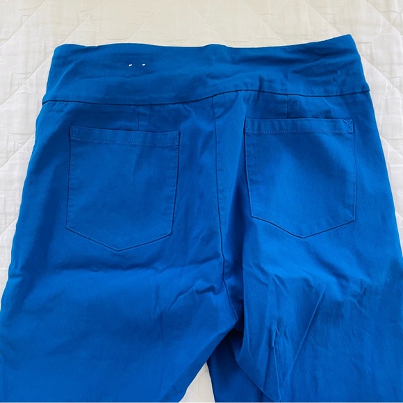 J. McLaughlin Pull-On Slim Straight Silhouette Ivy Pant in Indi Blue - Picture 5 of 8